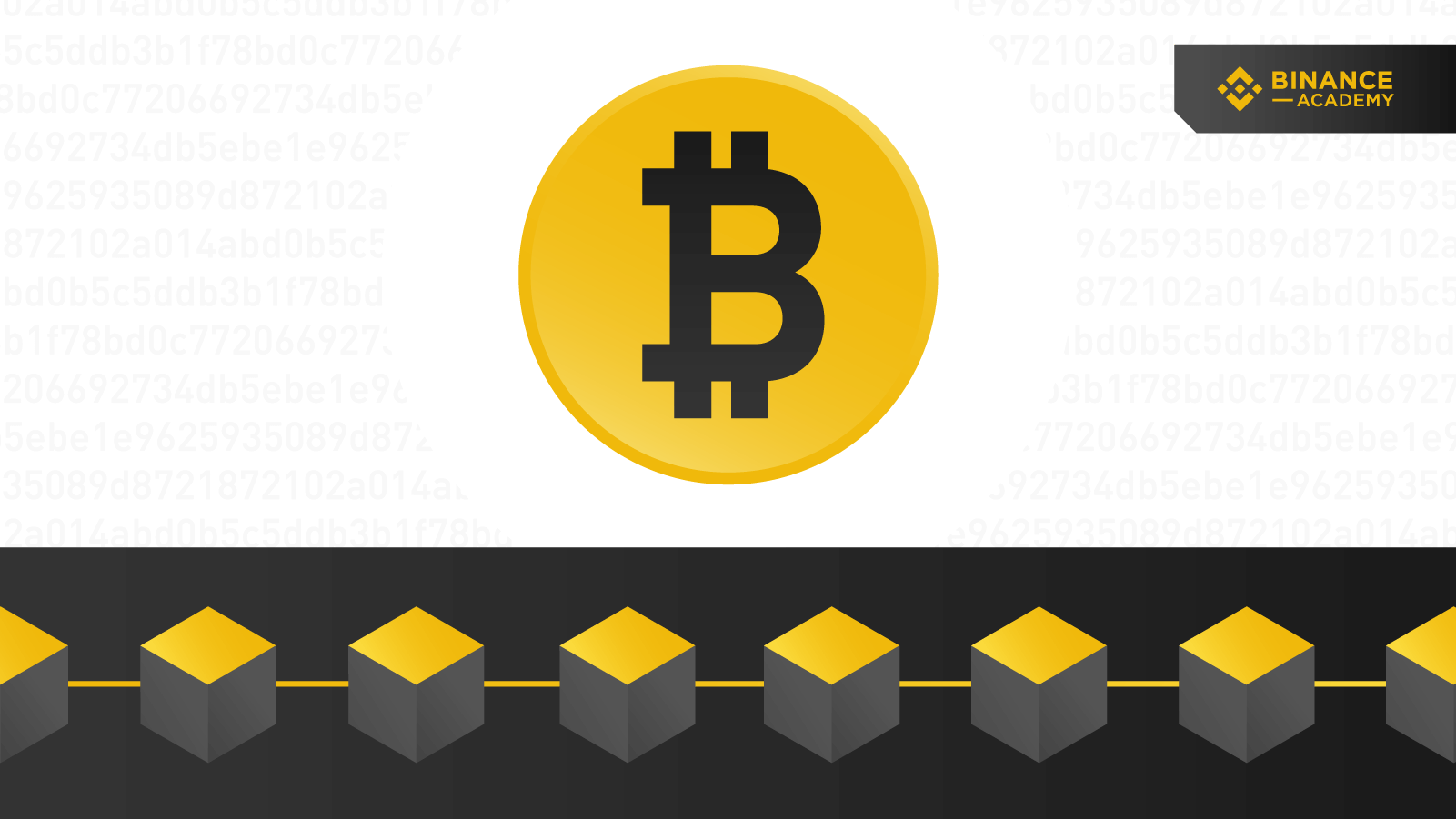 Difference Between Blockchain and Bitcoin